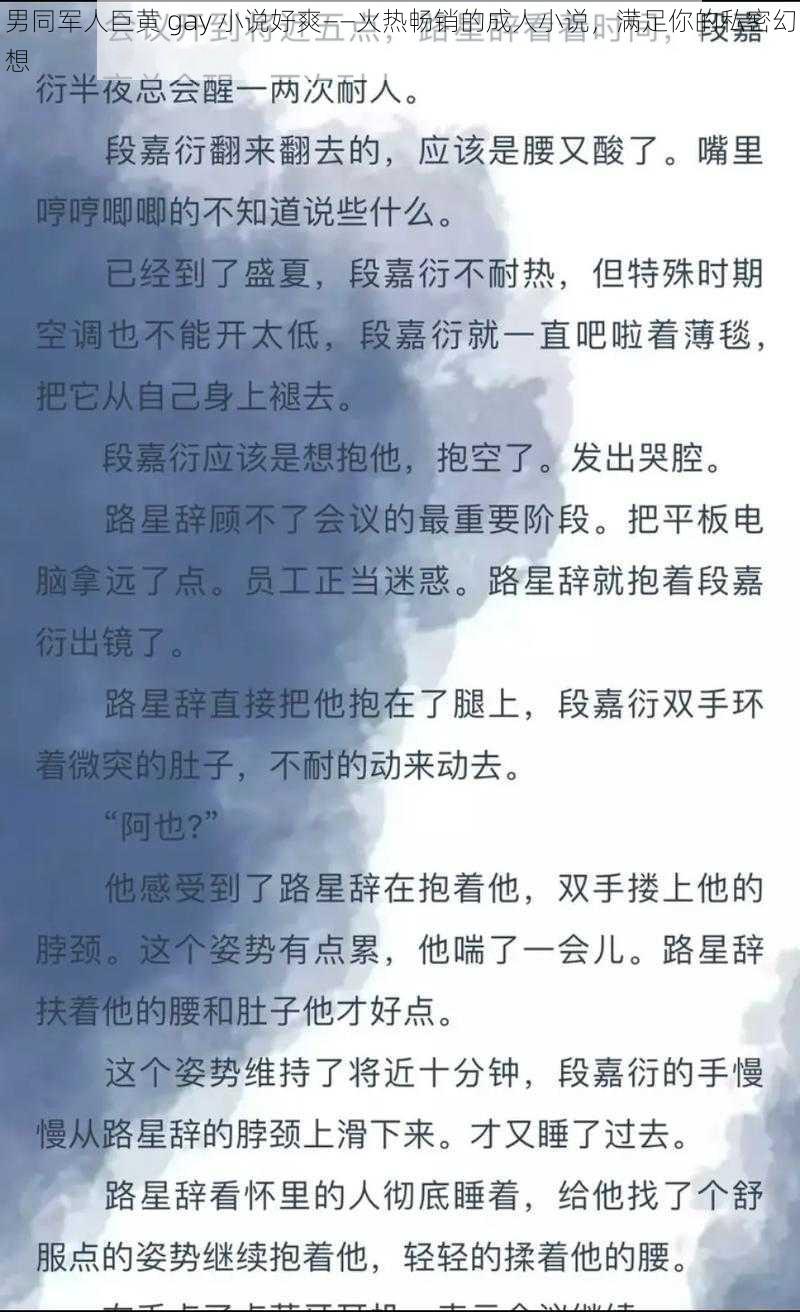 男同军人巨黄 gay 小说好爽——火热畅销的成人小说,满足你的私密幻想